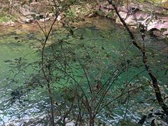 -安徽天堂寨风景区