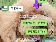 -爱侣宠医·鹦鹉专科·小型哺乳类·异宠专科(灵石路店)