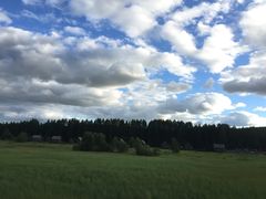 塞罕坝国家森林公园-塞罕坝国家级自然保护区