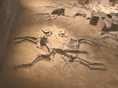 -洛阳周王城天子驾六博物馆