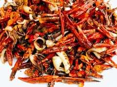 辣炒鱿鱼-松明一烤肉馆(鲁园店)