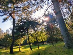 -森林公园(尖草坪区)