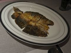 -T館·花园艺术餐厅