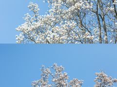 -杭州植物园