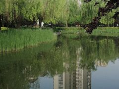 -木塔寺遗址生态公园