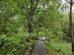 -盘龙城国家考古遗址公园