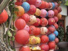 -单家老院·院子里的青岛菜(沙子口店)