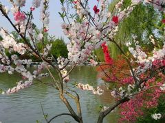 -扬州瘦西湖船宴