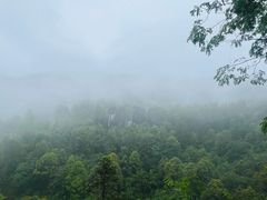 -梭布垭石林景区