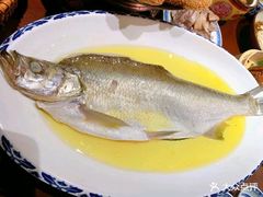 鸡汁长江白鱼-南京大牌档(济南万象城店)