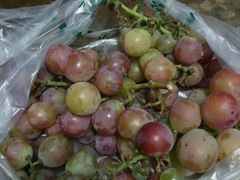 -乡乐园蟹庄·阳澄湖农家乐