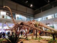 -自贡恐龙博物馆