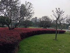 -文华公园(禅城区)
