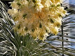 -北京植物园-展览温室