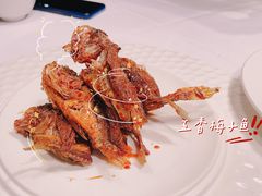 -苏浙总会(国金中心店)