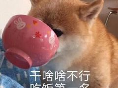 -魔方剧情密室(徐汇店)