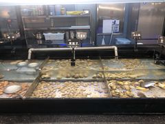 -悟烧·自助烤肉料理(秋林旗舰店)