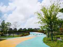 -南汇新城城市公园