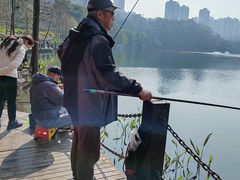 -重庆彩云湖湿地公园