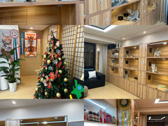 -猫十亿·布偶金渐层·曼基康矮脚猫舍(青年路店)