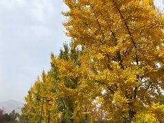 -北京雁栖湖国际会展中心