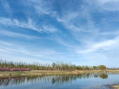 -马家湾湿地公园