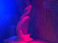 -兴芮温泉度假区