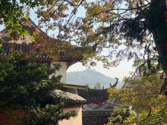 -狼牙山风景区