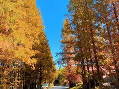 -崂山九水游览区
