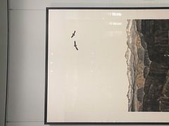 -陕西省美术博物馆