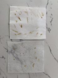 -靓芙泉专研痘痘肌