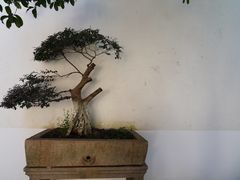 -檀园