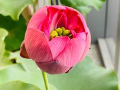 -上海植物园-4号门售票处