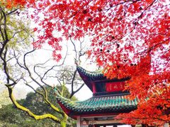 -岳麓山风景名胜区