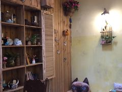 -猫色咖啡·猫咖