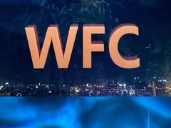-WFC会仙楼观景台