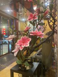 -靓靓伊人SKINCARE肌肤管理FACIAL·SPA