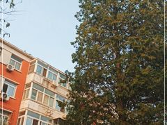 -北京大学燕东园