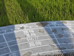 -艾米稻香小镇