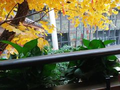 -阿大排档(长春这有山店)