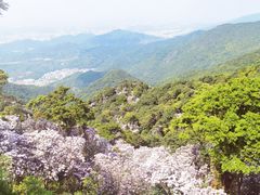 -梧桐山风景名胜区