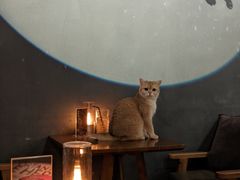 -咖法森林·咖啡  酒吧(天河店)