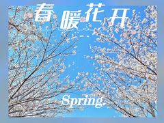 -高东镇樱花园