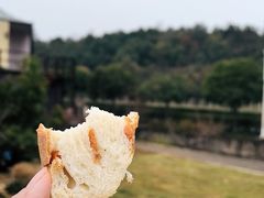 -湖南湘都生态农业园