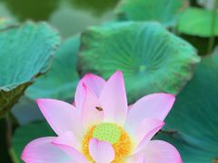 -厦门国家会计学院