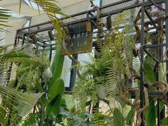 -北马山庄植趣咖啡
