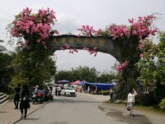 -天适樱花悠乐园