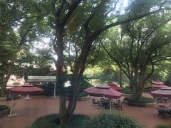 -浙江宾馆·花园餐厅·自助餐厅·茶吧