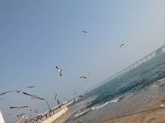 -星海广场