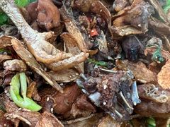 -八两八金·莱芜特色炒鸡(市南漳浦路店)